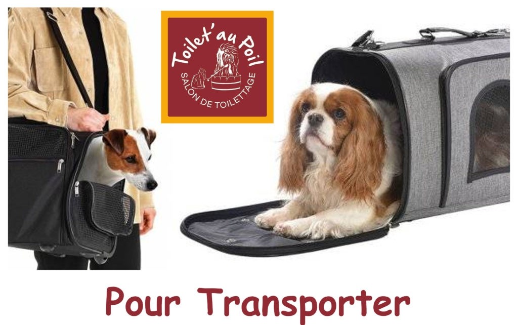 Sacs de transports